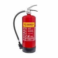 Wet chemical fire extinguisher for BBQ safety